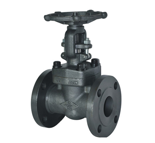 API602 Forged Flanged Globe Valve